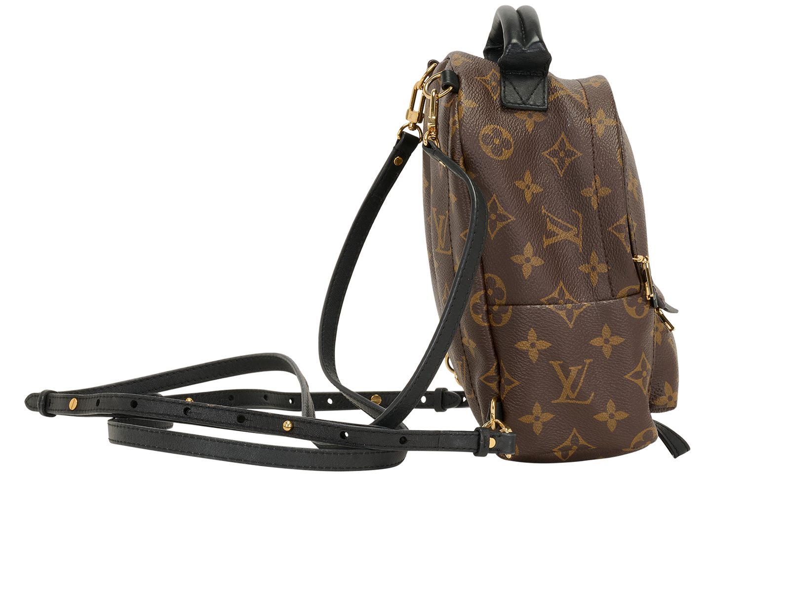 Mini Palm Springs Backpack, &pound;1,100, Handbags, Brown, Canvas, Side view